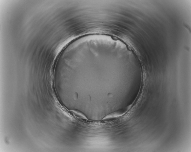 X0000102510854200808291732