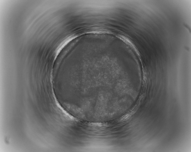 X0000102510855200808291732