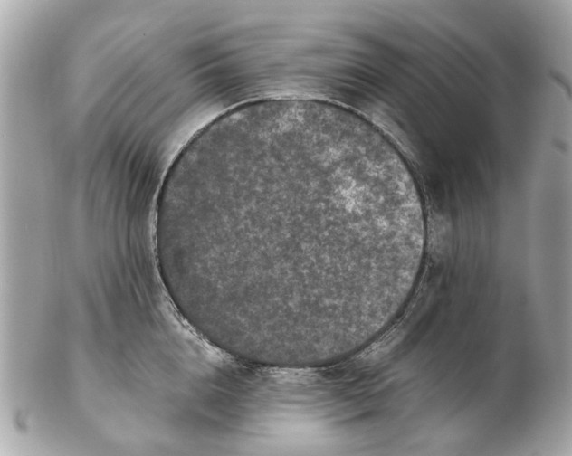 X0000102510856200808291732