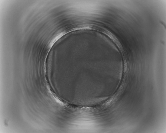 X0000102510858200808291732
