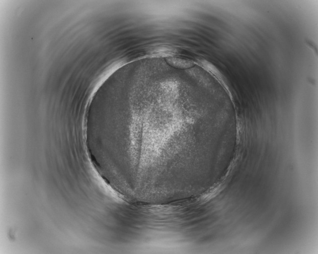 X0000102510859200808291732