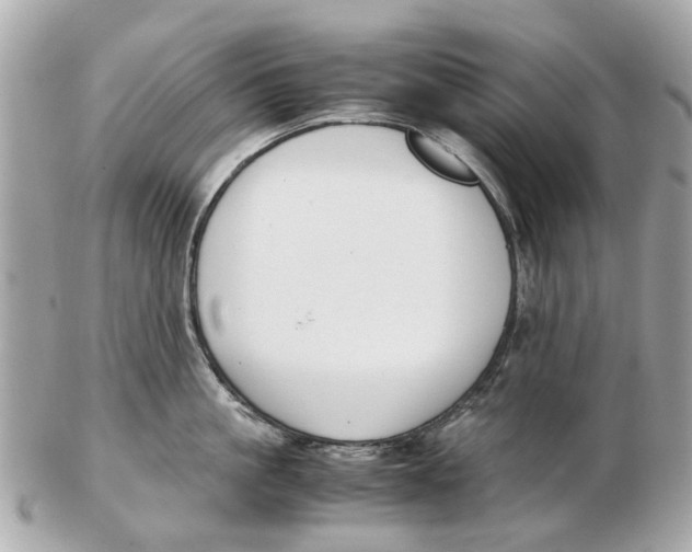 X0000102510861200808291732