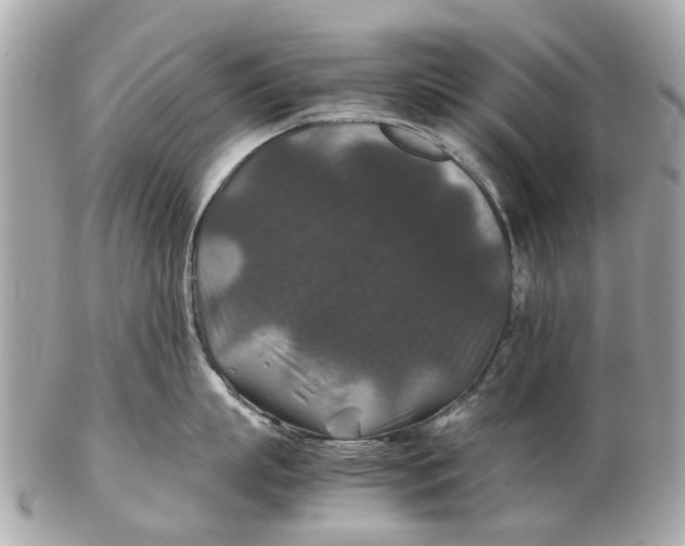 X0000102510863200808291732