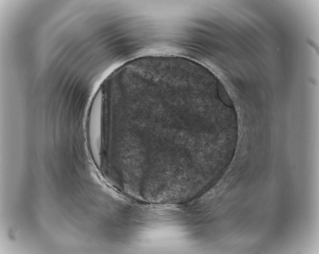 X0000102510864200808291732