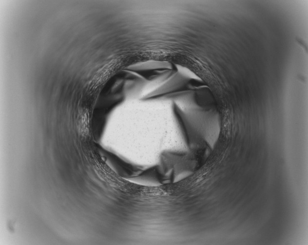 X0000102510866200808291732