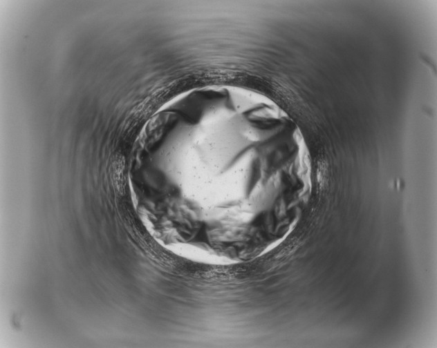 X0000102510867200808291732