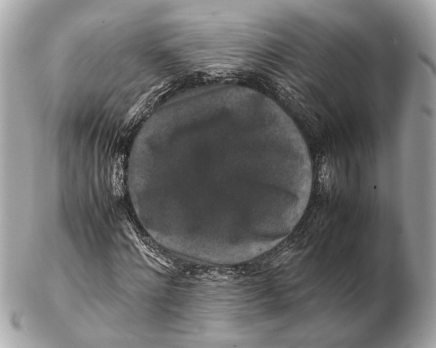 X0000102510868200808291732