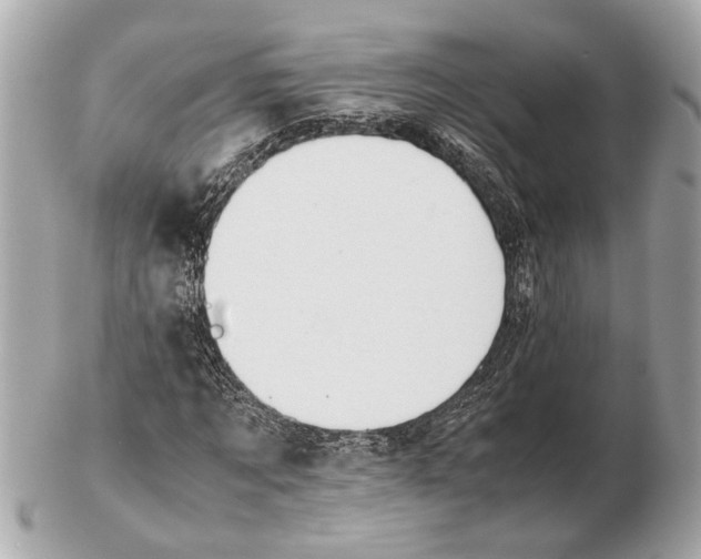 X0000102510869200808291732