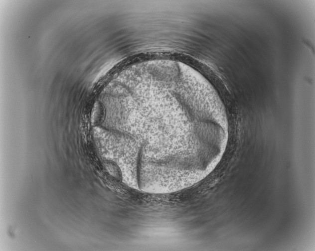 X0000102510871200808291732