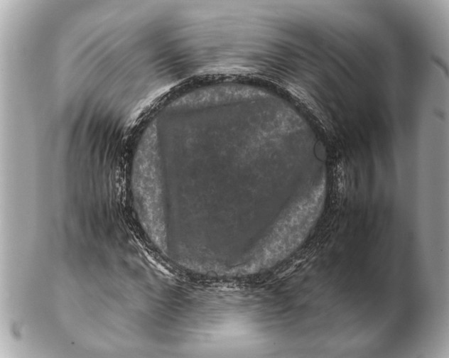 X0000102510872200808291732