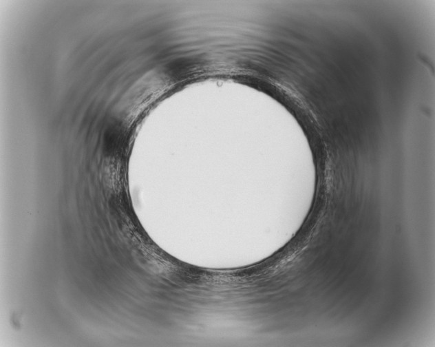 X0000102510873200808291732