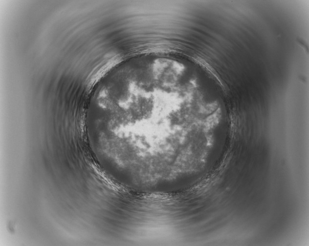 X0000102510874200808291732