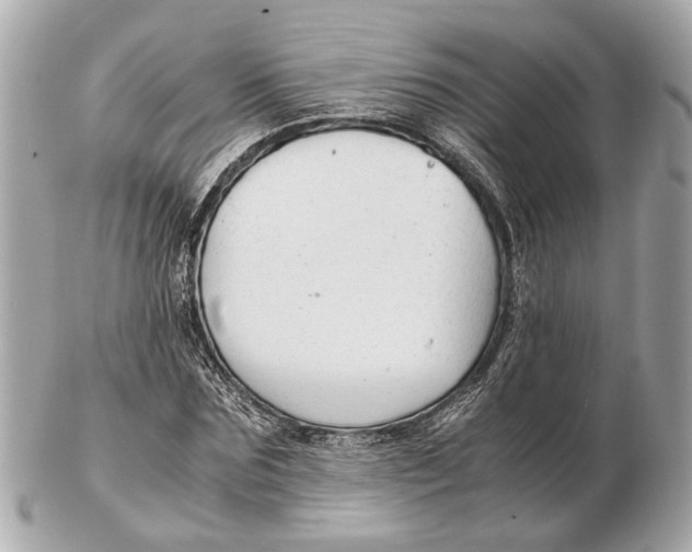 X0000102510875200808291732