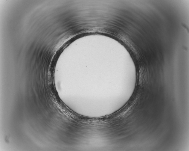 X0000102510876200808291732