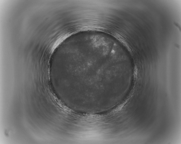 X0000102510877200808291732