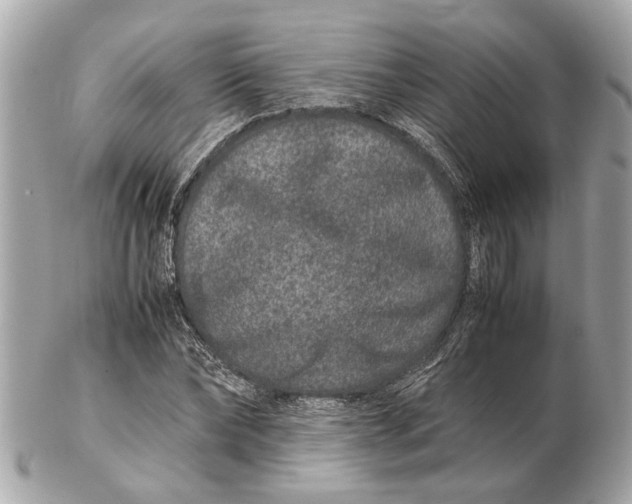 X0000102510878200808291732