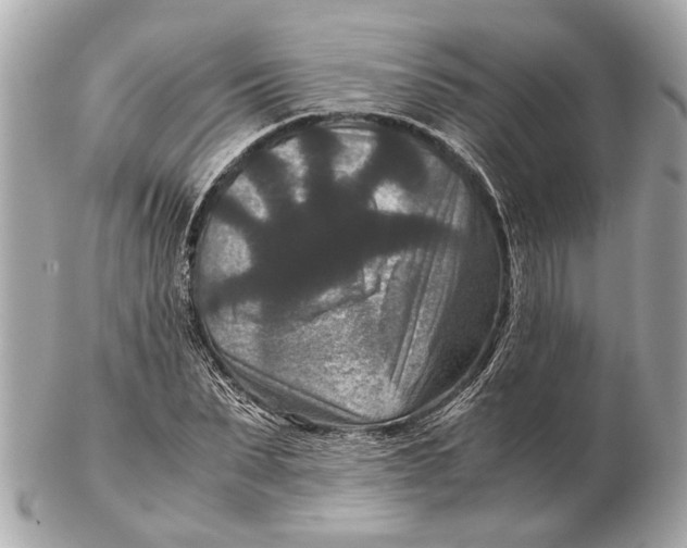 X0000102510879200808291731