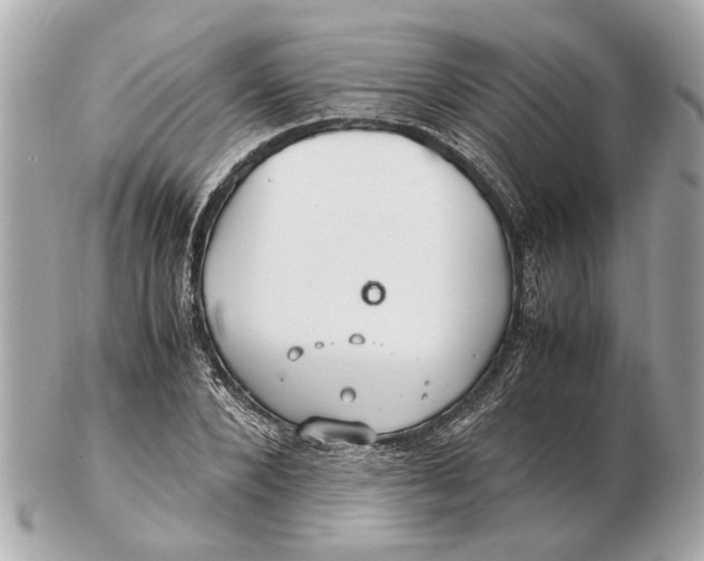 X0000102510880200808291731