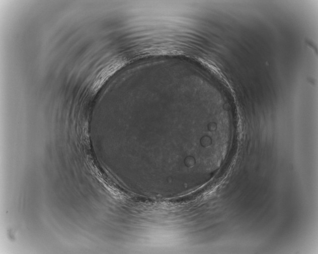 X0000102510881200808291731