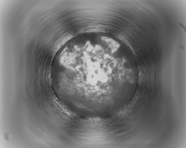 X0000102510882200808291731
