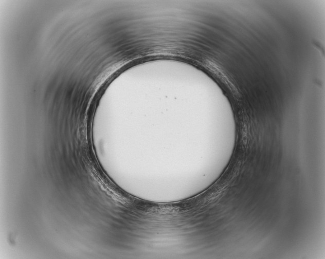 X0000102510884200808291731
