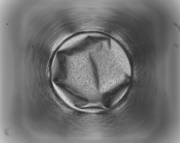 X0000102510885200808291731