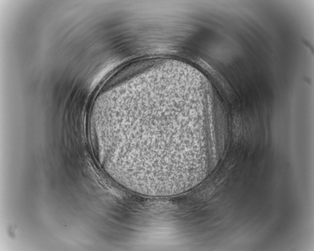 X0000102510886200808291731