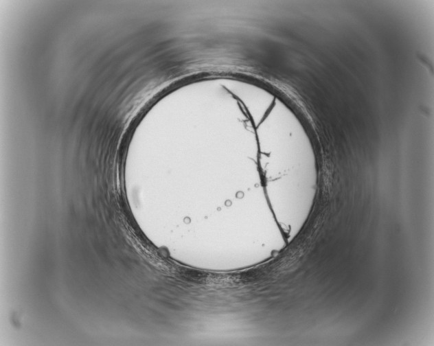 X0000102510887200808291731