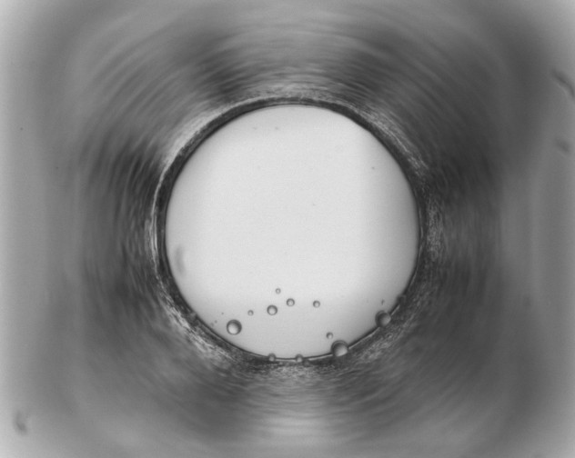 X0000102510888200808291731