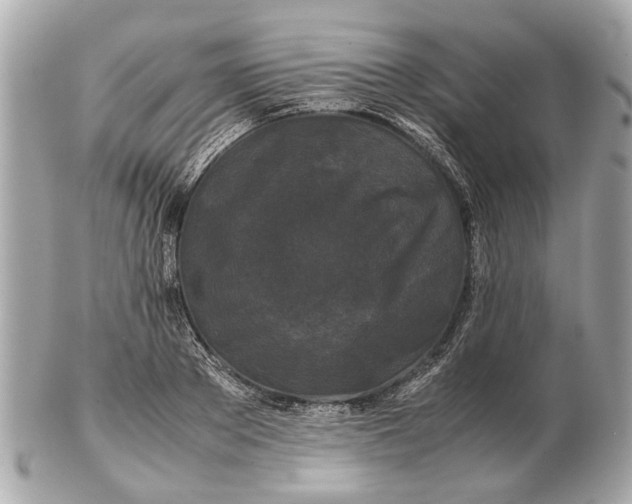 X0000102510889200808291731
