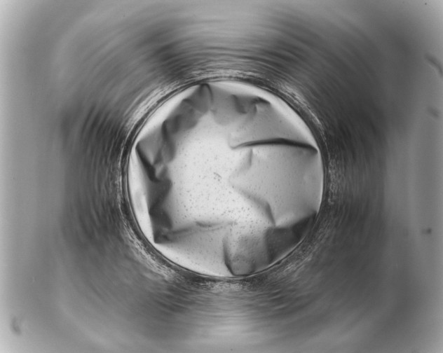 X0000102510890200808291731