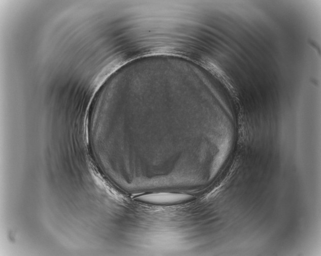X0000102510892200808291731