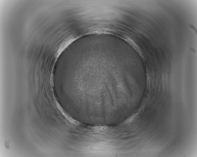 X0000102510893200808291731