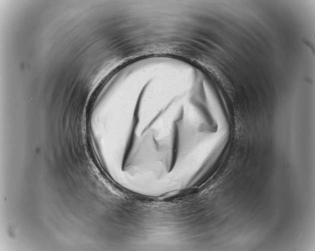 X0000102510894200808291731