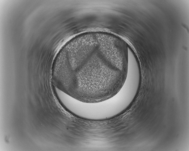 X0000102510895200808291731