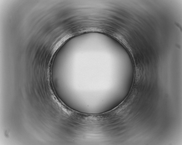 X0000102510898200808291731