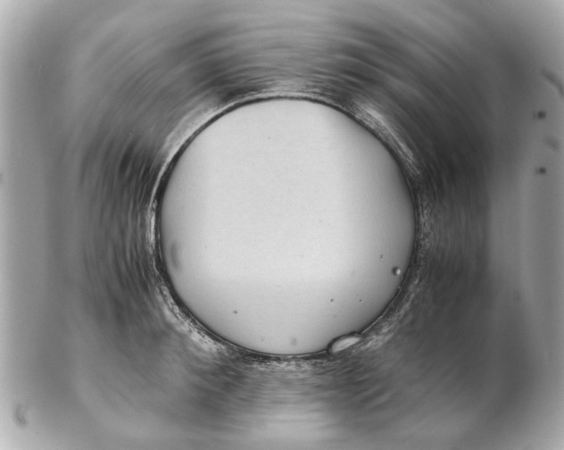X0000102510900200808291731