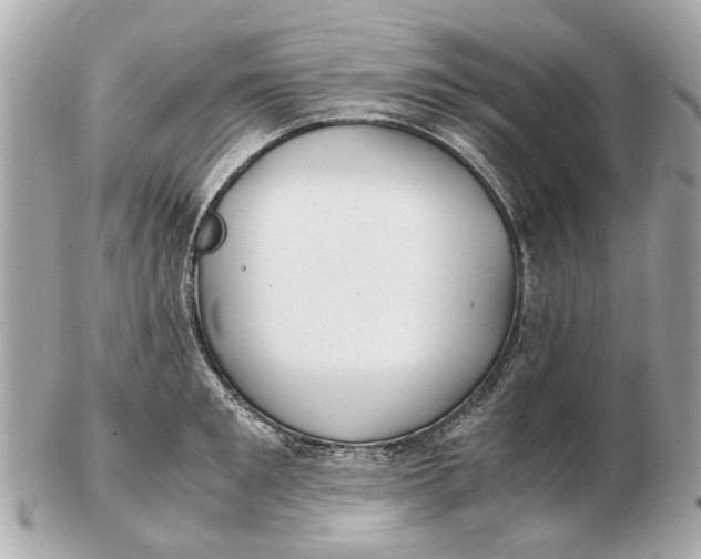 X0000102510901200808291731
