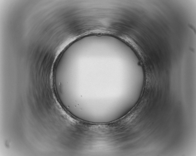 X0000102510902200808291731