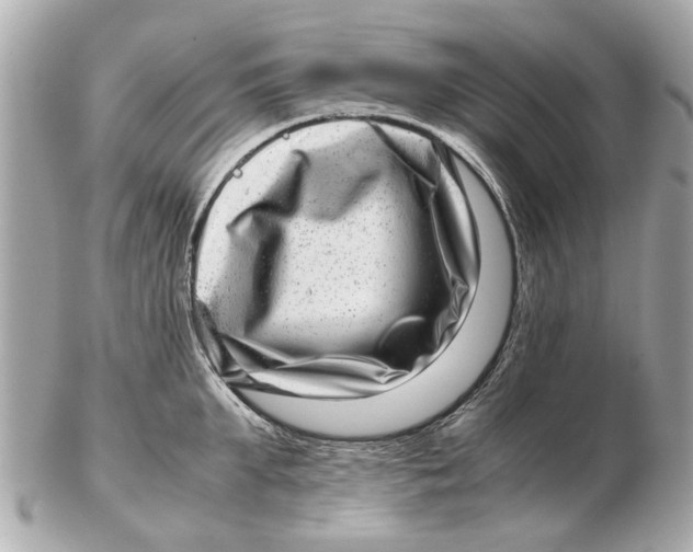 X0000102510903200808291731