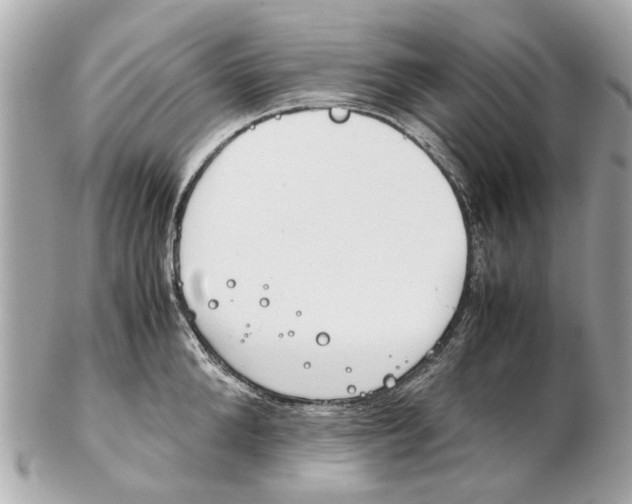 X0000102510904200808291731