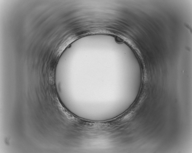 X0000102510905200808291731