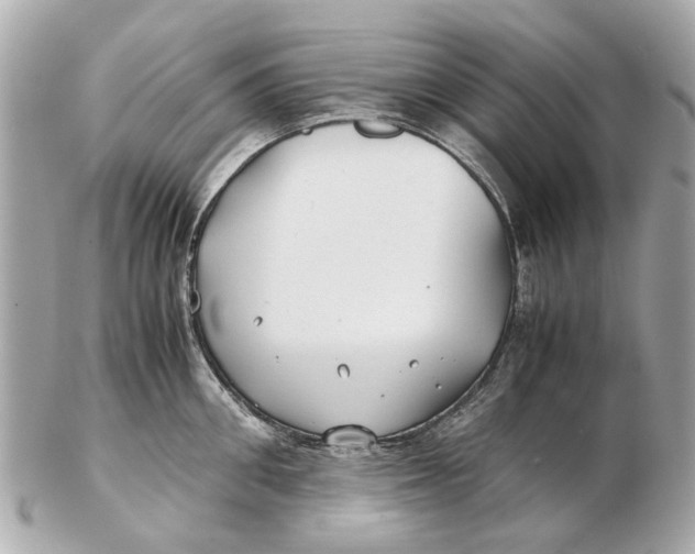 X0000102510906200808291731