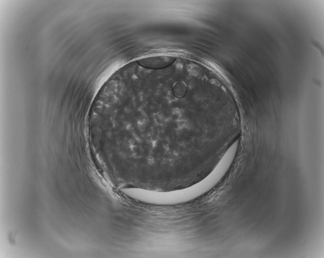 X0000102510907200808291731