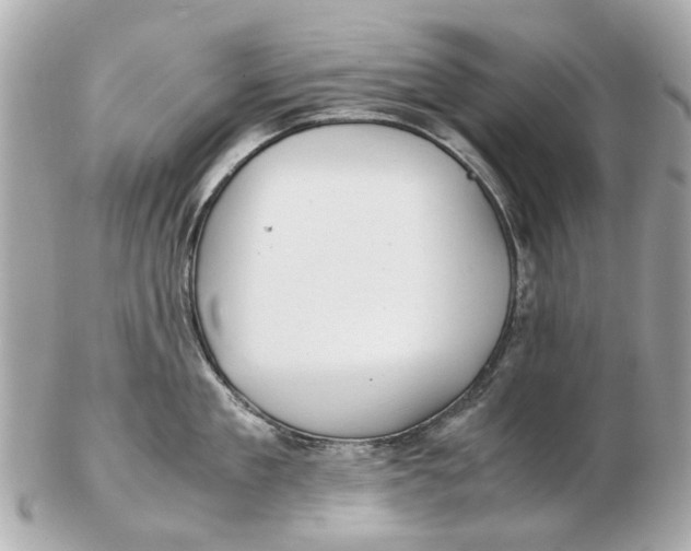 X0000102510909200808291731