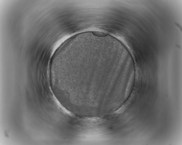 X0000102510910200808291731