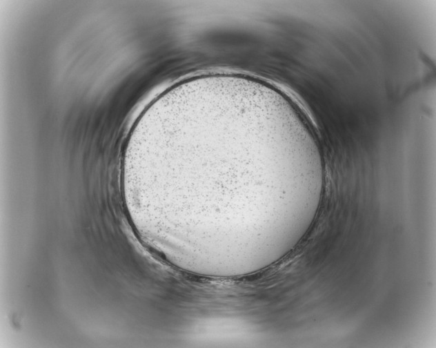 X0000102510911200808291731