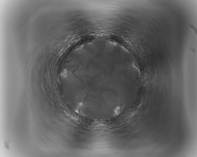 X0000102510913200808291730