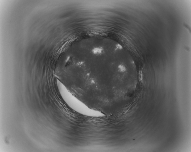 X0000102510915200808291730