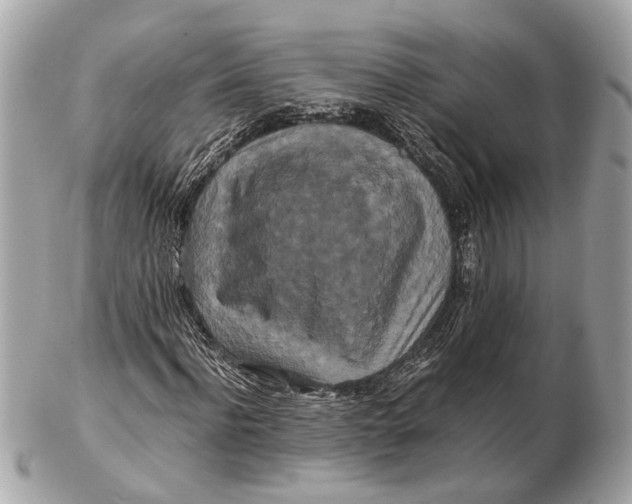 X0000102510916200808291730